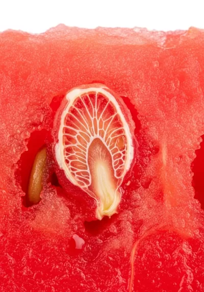 Imagen PNG para descargar